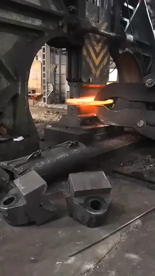High Quality OEM Customized Die Forging Forging Ring Titanium Forged Blocks Discs Rings Forging Rings 