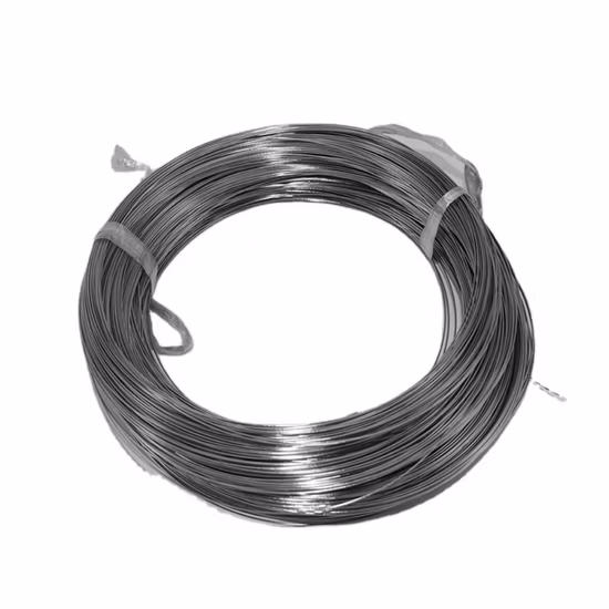 China Shanghai Factory 16 Gauge Grade 5 Alloy Titanium Fishing Wire 