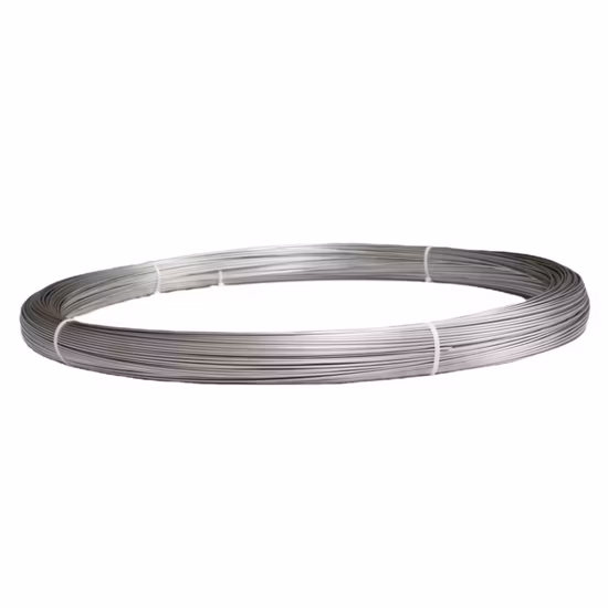 ASTM F67 Grade 1 Titanium Wire with 2mm Thickness for Medical Instruments 